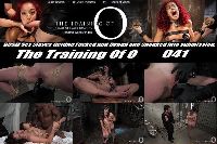 The Training of O 041