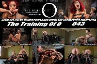 The Training of O 043