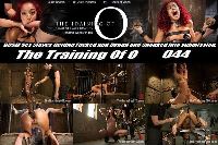 The Training of O 044