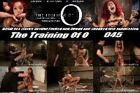 The Training of O 045