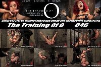 The Training of O 046